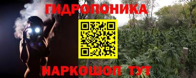 сатива Тара